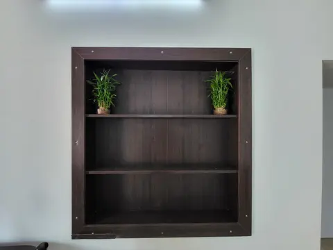 Built-in dark wood wall shelf unit with two potted plants